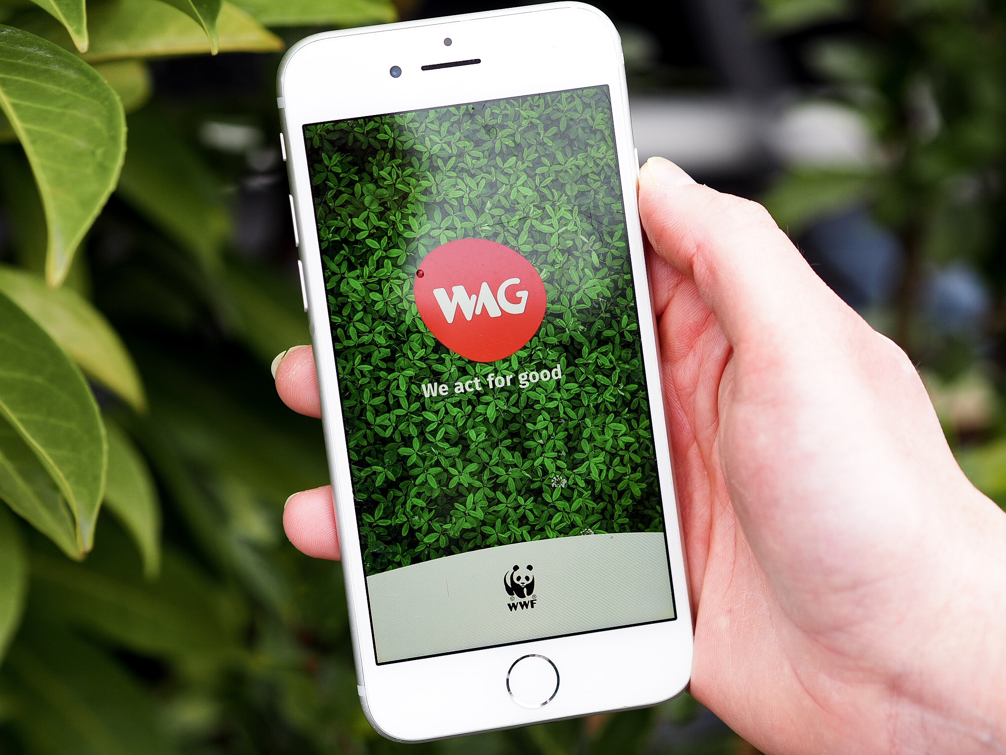 Comment devenir plus écolo au quotidien grâce à l'application WAG ...